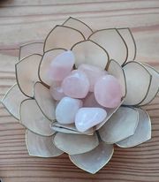 Rosakvarts lommesten